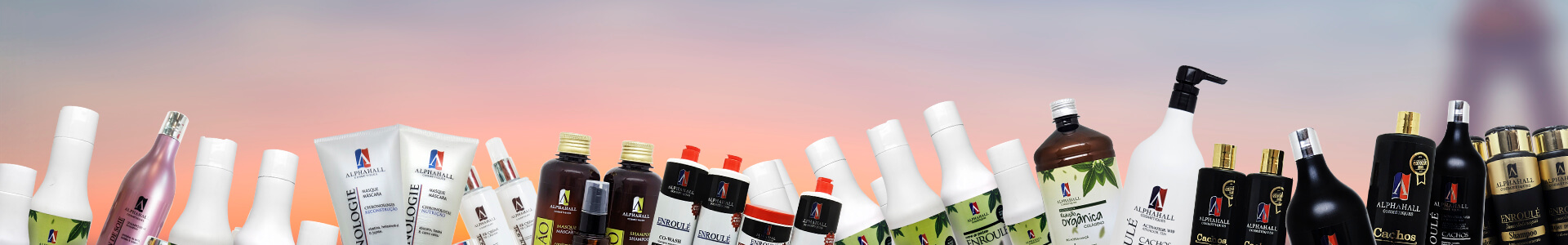 Cabeçalho Alphahall